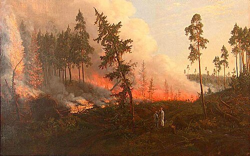 Лясны пажар, 1860, Wincenty Dmochowski