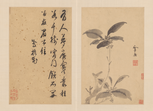 孙克弘花卉册, , Sun Kehong