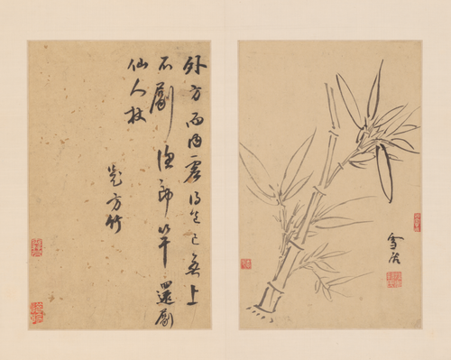 孙克弘花卉册, , Sun Kehong