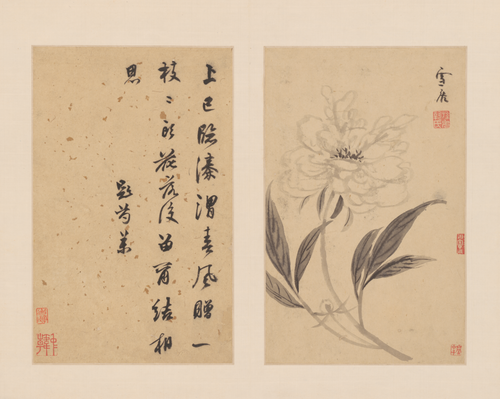 孙克弘花卉册, , Sun Kehong