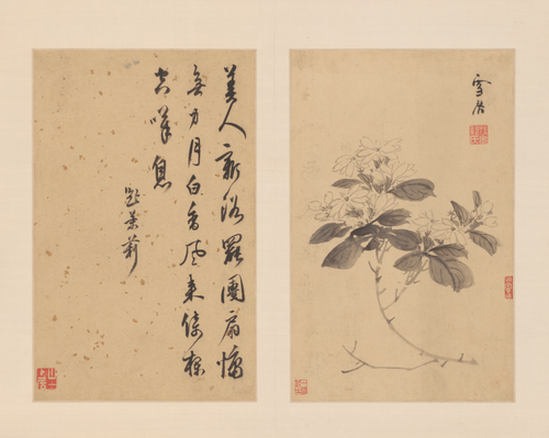 孙克弘花卉册, , Sun Kehong