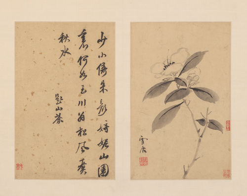 孙克弘花卉册, , Sun Kehong