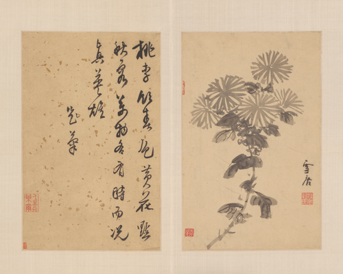 孙克弘花卉册, , Sun Kehong