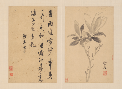 孙克弘花卉册, , Sun Kehong