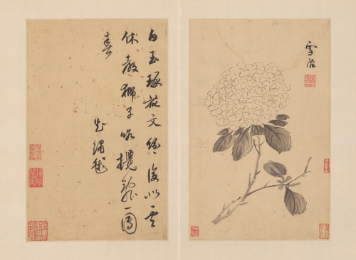 孙克弘花卉册, , Sun Kehong
