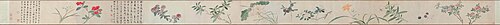 明 孙克弘 设色花卉卷, 1576, Sun Kehong