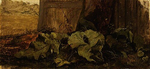 Dock Leaves, 1813, John Crome
