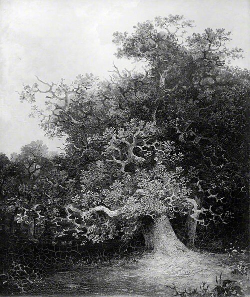 Forest Scene with Oak Trees, , John Crome