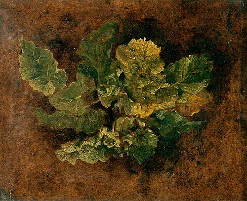 Study of Foliage, , John Crome