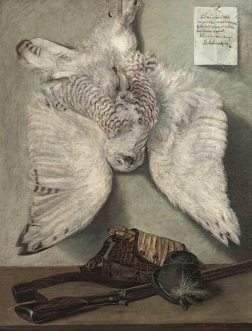 Snowy Owl, 1862, Karl Purkyne