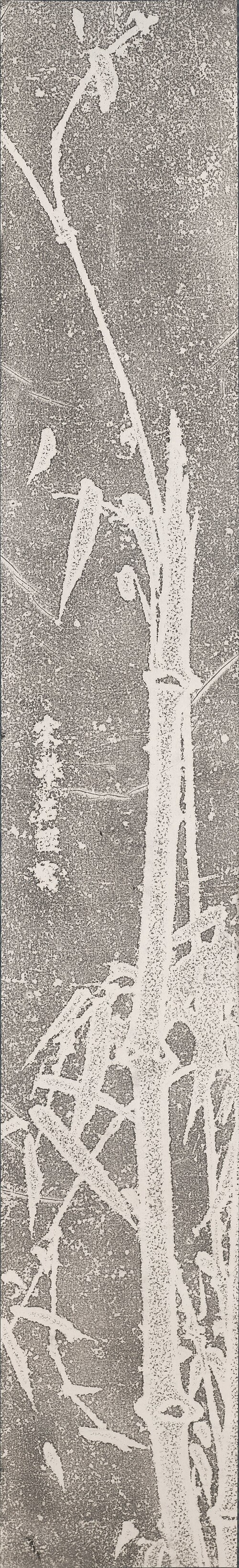 Bamboo, , Sō Shiseki