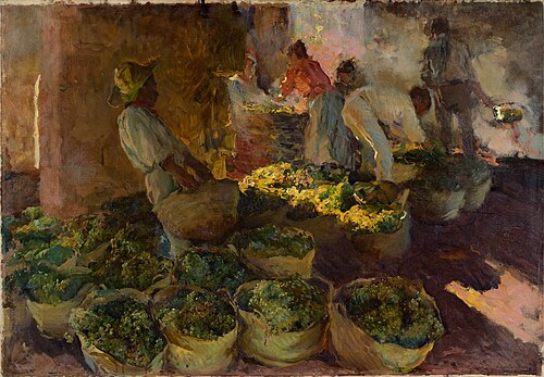 La Préparation des raisins secs, 1901, Joaquín Sorolla
