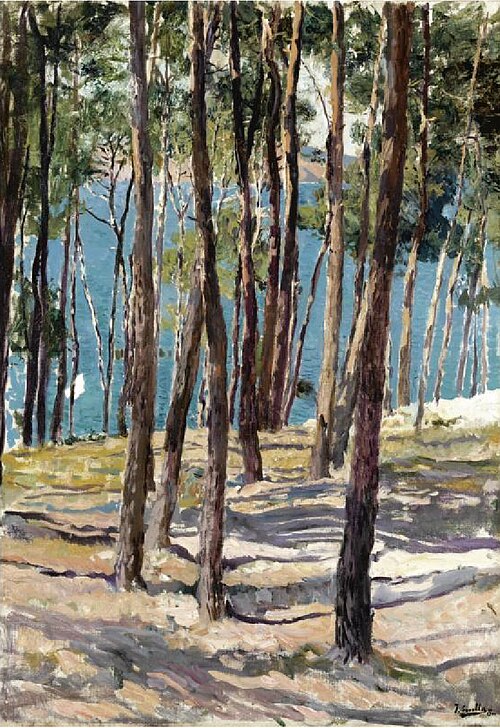 Pine trees, Galicia, 1900, Joaquín Sorolla