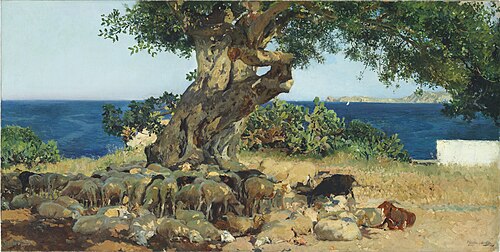 Carob tree, 1899, Joaquín Sorolla