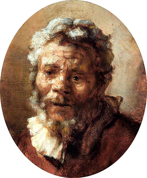 Portrait of a Bearded Man, 1645, Carel Fabritius