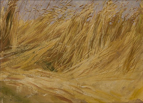 Corn Field (Study), 1901, Włodzimierz Tetmajer