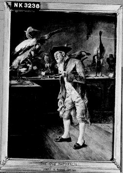 The old naturalist, 1880, José Jiménez Aranda