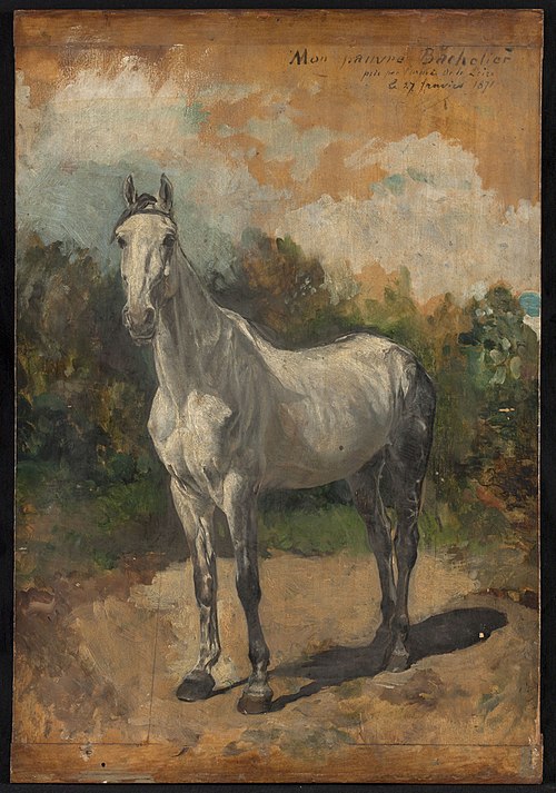 Bachelier, cheval de l'artiste, 1871, Ernest Meissonier