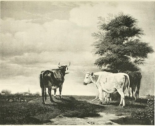 Quatre taureaux dans un pâturage, 1653, Paulus Potter