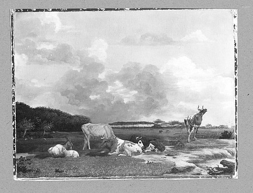cows on the meadows, 1650, Paulus Potter