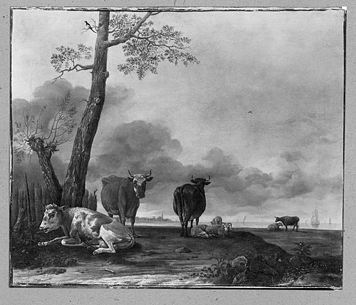 Cows on the pasture, 1650, Paulus Potter