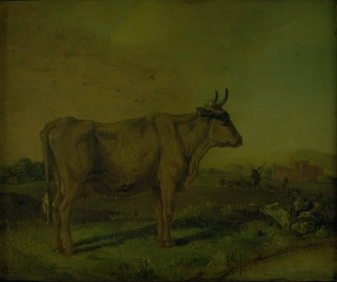 A Cow, 1647, Paulus Potter