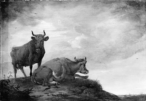 Two Cows on a Hill, 1648, Paulus Potter
