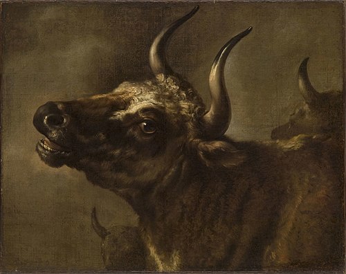 Bellowing Bull, 1650, Paulus Potter