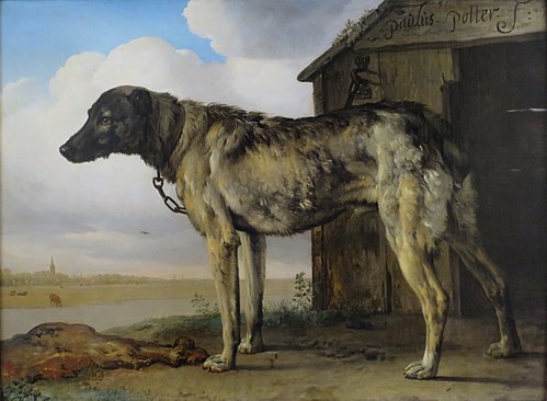 Wolf-Hound, 1650, Paulus Potter