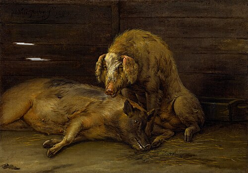Two Pigs in a Sty, 1649, Paulus Potter