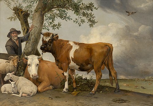 Le Taureau, 1647, Paulus Potter