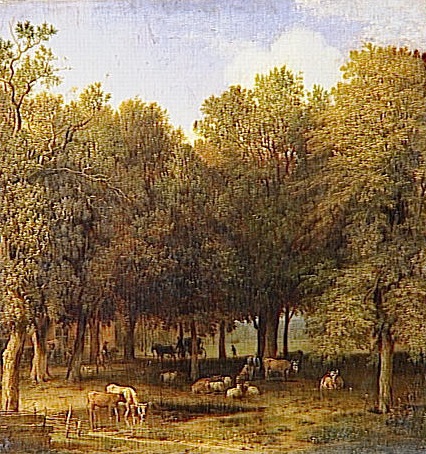 Le Bois de La Haye, 1650, Paulus Potter