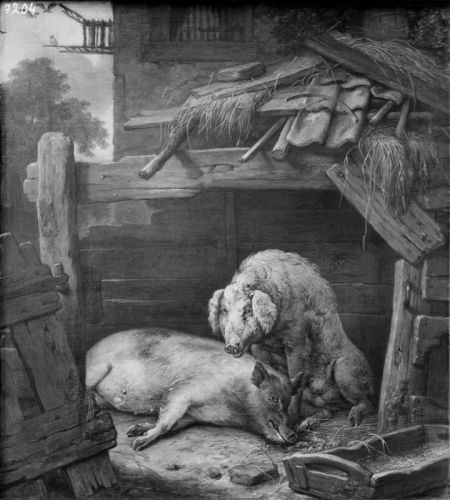 Les Pourceaux, 1650, Paulus Potter