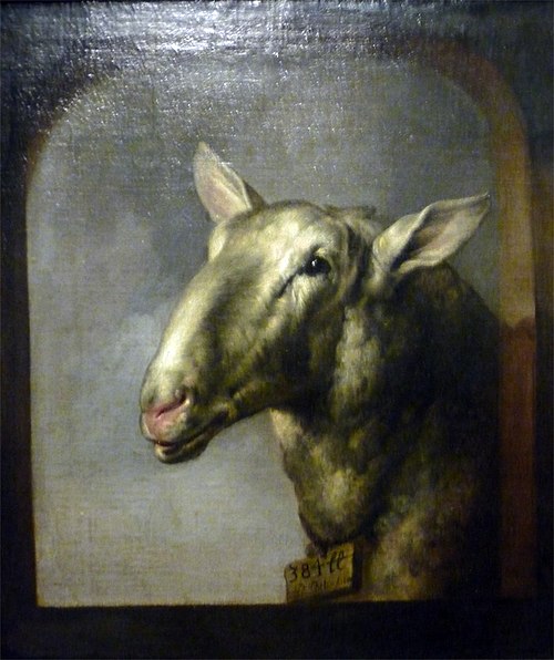 Tête de mouton, 1654, Paulus Potter