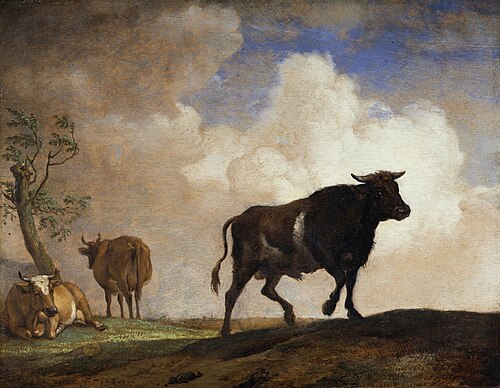 The Steer, 1649, Paulus Potter