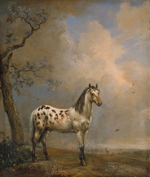 The Spotted Horse, 1649, Paulus Potter