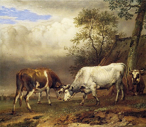 Fighting Bulls, 1653, Paulus Potter