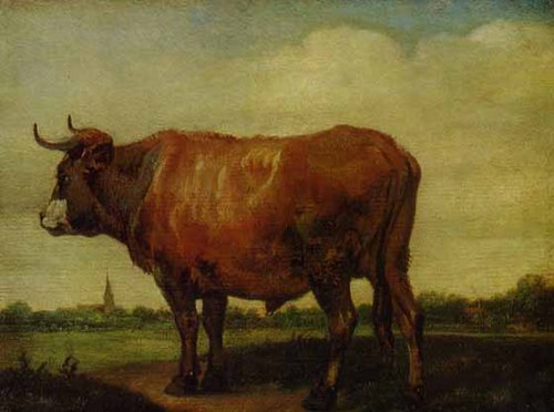 A Red Ox Standing, 1650, Paulus Potter