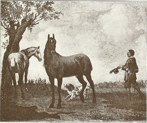 The Stadhouder’s Horses, 1653, Paulus Potter