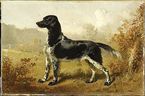 Dash, chien du duc d'Aumale, 1853, Alfred de Dreux