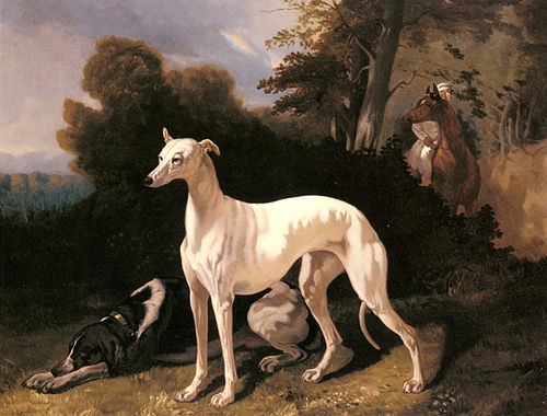 Barboza. Lévrier et épagneul, , Alfred de Dreux