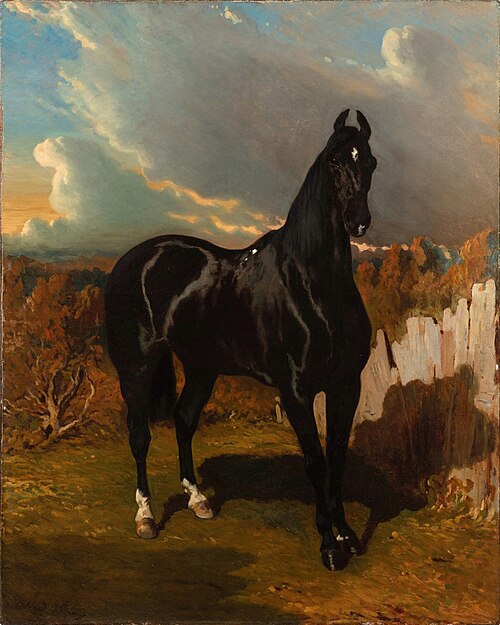 Black Knight, , Alfred de Dreux