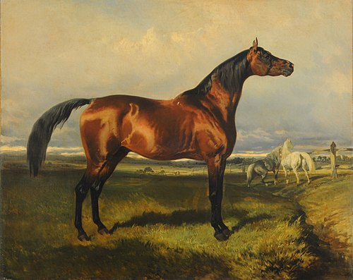 Horses in freedom, 1850, Alfred de Dreux