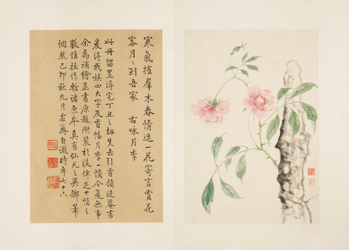 王武花卉册, , Wang Wu