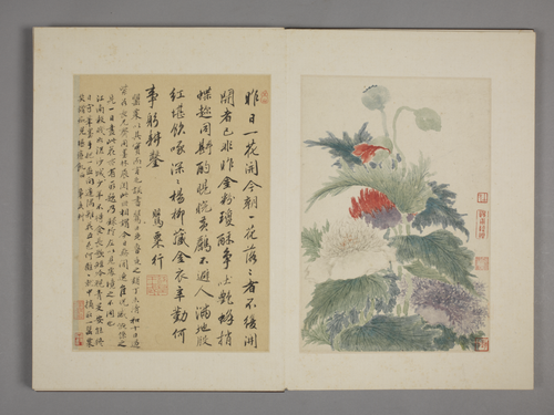 王武花卉册, , Wang Wu