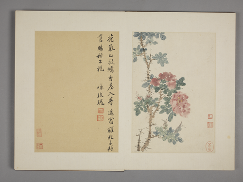 王武花卉册, , Wang Wu