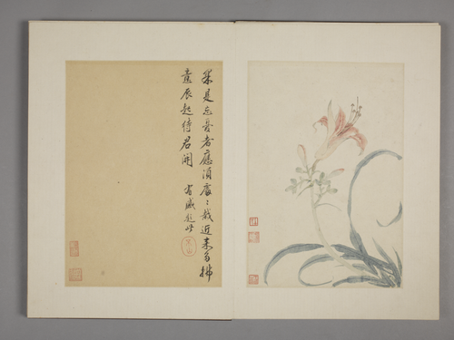 王武花卉册, , Wang Wu