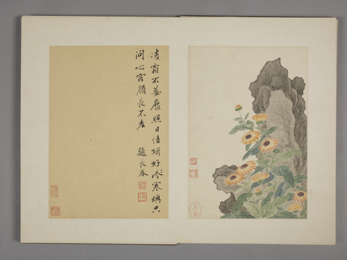 王武花卉册, , Wang Wu