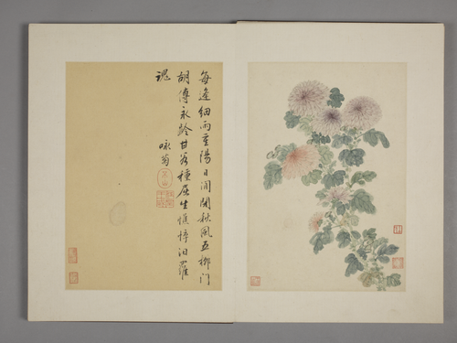 王武花卉册, , Wang Wu