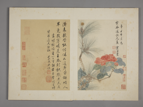 王武花卉册, , Wang Wu